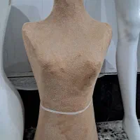 سلام مانکن نیم تنه و ریگال 4شاخ استیل|حراج|لاهیجان, کوی آزادگان|دیوار