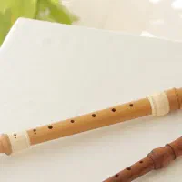 آموزش فلوت ریکوردر|خدمات آموزشی|تهران, ستارخان|دیوار