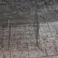 قفس پرنده سالم|لوازم جانبی حیوانات|مشهد, محمدآباد|دیوار