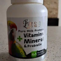 عروس هلندی|پرنده|فردیس, منظریه|دیوار