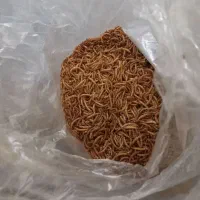 میلورم و...