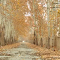 یک زمین جم جور آماده ساخت240متر باغ ویلا خدایارخان