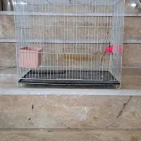 قفس سالم بدون خرابی