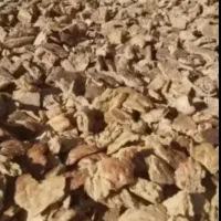 نان خشک