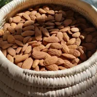 انواع خشکبار|خوردنی و آشامیدنی|تهران, سعادت‌آباد|دیوار