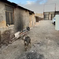 ۲۶۵متر زمین دارای سوله خلازیل کوچه ۲۰۶|فروش دفتر صنعتی، کشاورزی، تجاری|تهران, شهرک ابوذر|دیوار