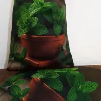 کیسه سبزیجات