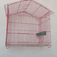 قفس ،قفس قناری ،قفس مرغ عشق و دیگرپرندها