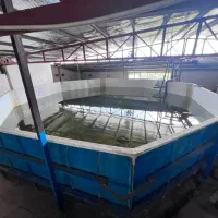 استخر فایبرگلاس مناسب برای پرورش ماهی و ذخیره آب