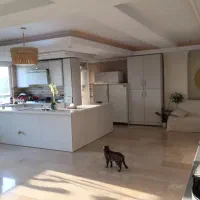 ۱۲۰متر/۷ساله/پونک.ایران زمین شمالی