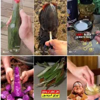 پیج فعال 15نیم کا اینستاگرام|لوازم جانبی موبایل و تبلت|تهران, فلسطین (میدان انقلاب)|دیوار