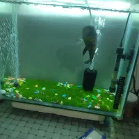 فروش آکواریوم سالم با تمام وسایل