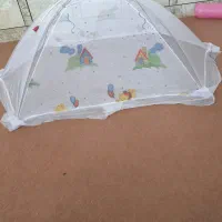 شهرویس|کالسکه و لوازم جانبی|باوی, |دیوار