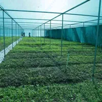 اجرای انواع گلخانه|عمده‌فروشی|شیراز, فرهنگ شهر|دیوار