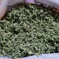 اویش(کاکوتی)کوهی