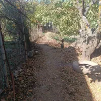 خانه خورگام عمارلو سیبن|فروش خانه و ویلا|رشت, دباغیان|دیوار