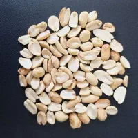مغزیجات مخصوص کره گیره|خوردنی و آشامیدنی|اصفهان, سعادت‌آباد|دیوار