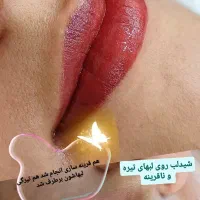 شیدلب فقط ۸۰۰ تومن|خدمات آرایشگری و زیبایی|رشت, کاکتوس|دیوار