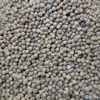 گردو خوش طعم نورآباد