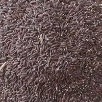 فروش عمده تخم کتانِ ( بَزَرَک ) سیاه / قیمت توافقی