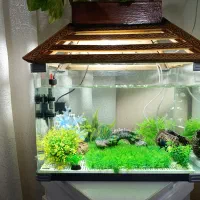 فروش آکواریوم درجه ۱ با تجهیزات کامل|ماهی|فسا, |دیوار