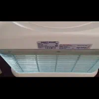 حشرات|خزنده|قم, هفت تیر|دیوار