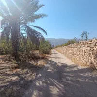 فروش باغ و زمین با2سند2چاه پروانه دار.قنات6دانگ|فروش دفتر صنعتی، کشاورزی، تجاری|خفر, |دیوار