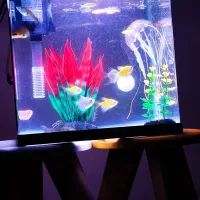 آکواریوم دلسا 12 لیتری مدل k250 کاملا در حد نو