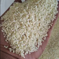 خورده برنج آشی کامفیروزی|خوردنی و آشامیدنی|شیراز, حومه شیراز|دیوار