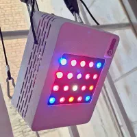 پروژکتور ال ای دی فول اسپکتروم نور رشد گیاه