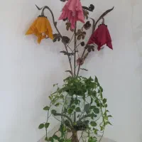 آباژور .کاملا سالم|چراغ خواب و آباژور|رشت, باهنر|دیوار