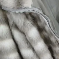 کت پشمی|لباس|قروه, |دیوار