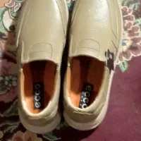 کفش نوع است