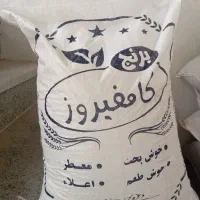 برنج کامفیروزی