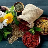 فرصت شغلی برای خانمها