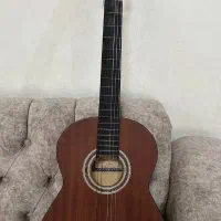 گیتار آرن گرین