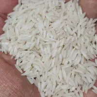 برنج طارم هاشمی درجه یک گیلان