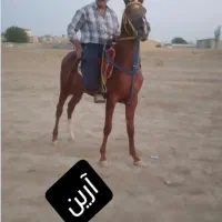 فروشی