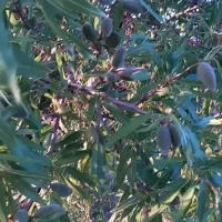 آب-و-زمین-کشاورزی