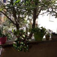 فروش آپارتمان ۸۲ متری ۲ خوابه طبقه ۲ شهرک جهان‌نما|فروش آپارتمان|کرج, شهرک جهان‌نما|دیوار