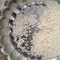 برنج علی کاظمی ۸۰۰کیلو