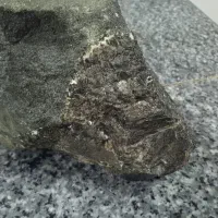 سنگ|کلکسیون و سرگرمی|نوشین شهر, |دیوار