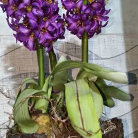 گل مصنوعی