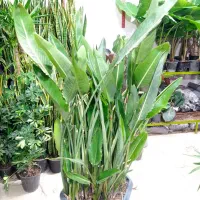 مدادی|لوازم التحریر|مشهد, حیدرآباد|دیوار