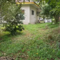 ویلاباغ نوساز ۲۸۰۰م سنددارسنگرسراوان قاضیان