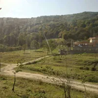 یک عدد سویچ پیدا شده