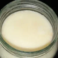روغن حیوانی