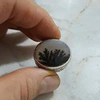 انگشتر نقره، نگین شجر