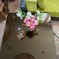 میز جلو مبلی|مبلمان خانگی و میز عسلی|رشت, شکار اسطلخ|دیوار