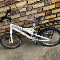 دوچرخه|دوچرخه، اسکیت، اسکوتر|گنبد کاووس, |دیوار